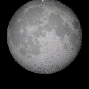 Meet your Posher, Ronna